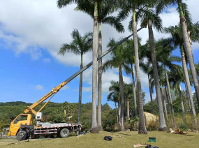 平?jīng)龅跹b與貨運服務 專業(yè)力量，高效運輸